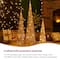 Glitzhome® Lighted Christmas Champagne Gold Cone Tree Outdoor Décor Set